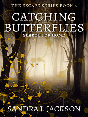 cover image of Catching Butterflies
